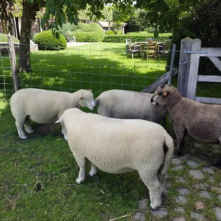 De Hulst