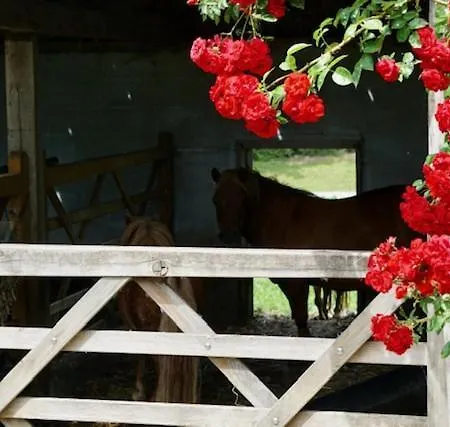De Hulst Bed & Breakfast 3*